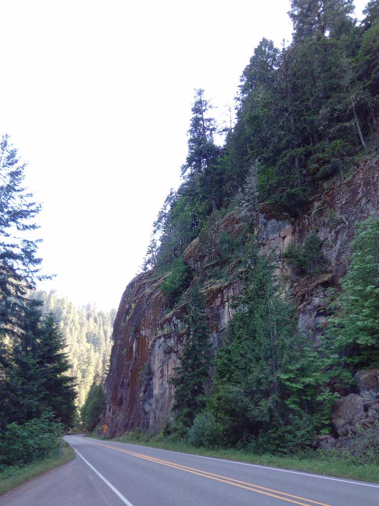 Umpqua Forest