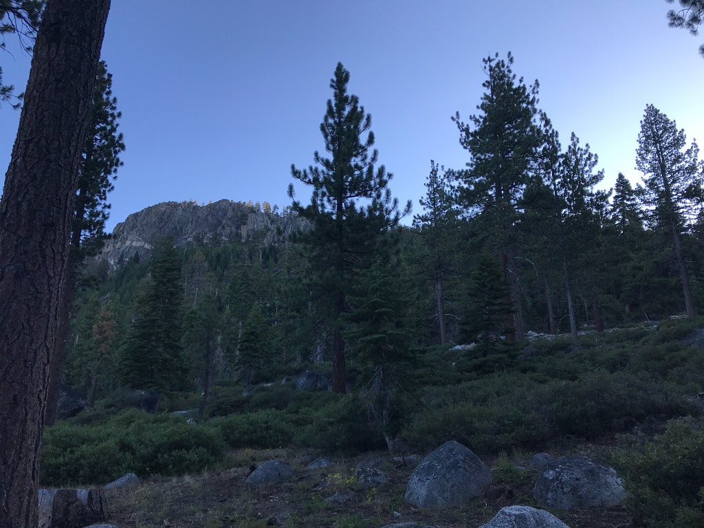 Luther Pass campsite