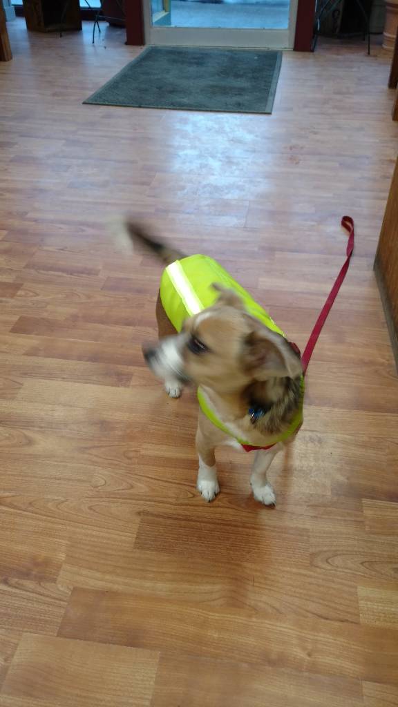 Max in his new rain gear