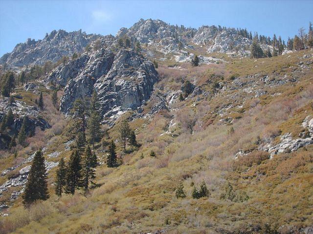 Upper Part