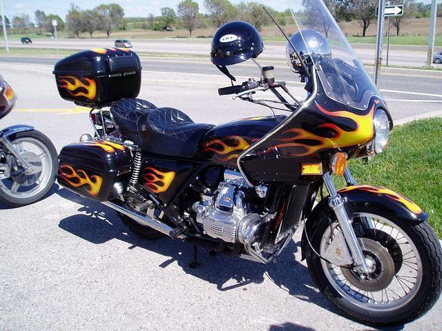Bears Bike Before The Motor Went South