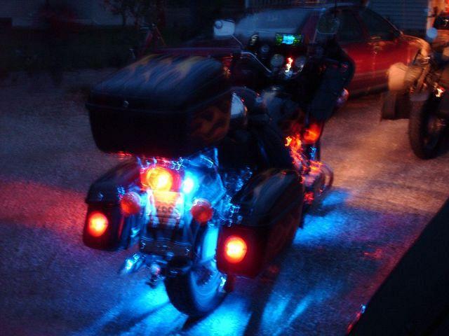 Bears Bike At Night