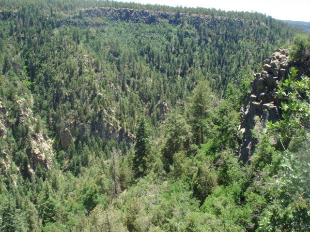 DSC06447