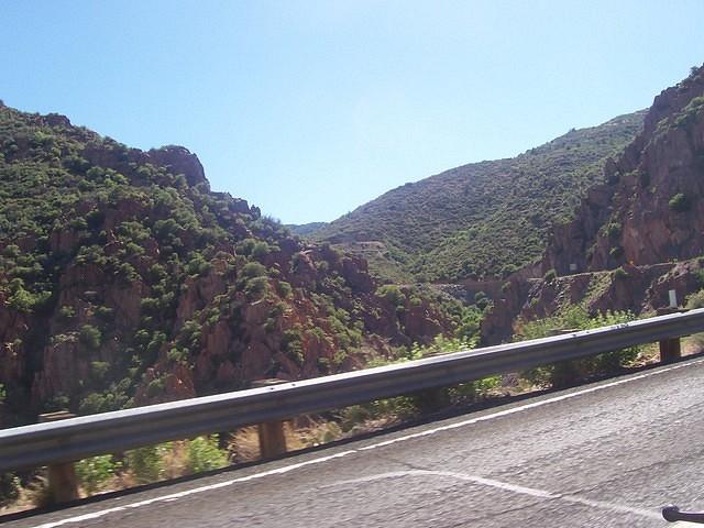 100_4495