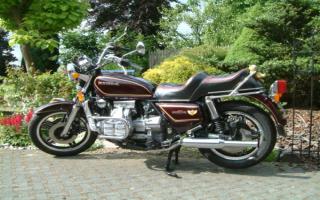 gerrit_le_roy_gl1100_standard_small