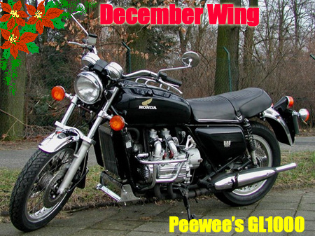 peewee-gl1000-450