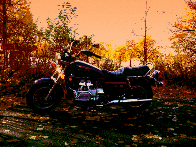 trygve's_gl1200_standard4