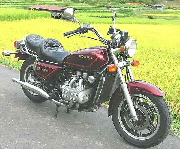 GL1100 Standard