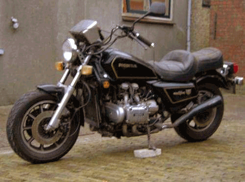 Ronny's GL1200 S