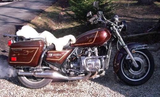 cropped side