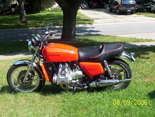 goldwing left
