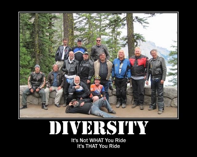 diversity