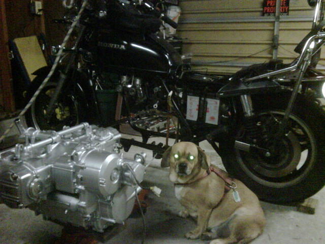 Tessa overseeing the installation progress