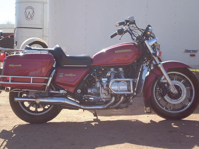 Gold Wing 002