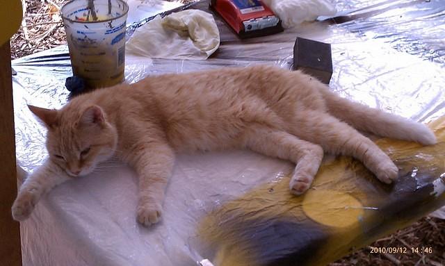 My Main Helper
