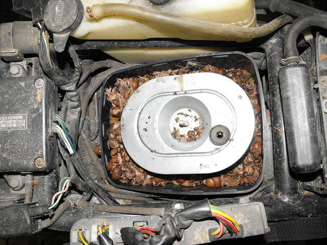 FEB 14 2011 AIR BOX SURPRIZE (3)