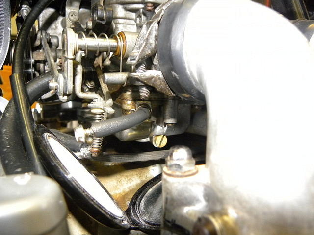 DSCN1343
