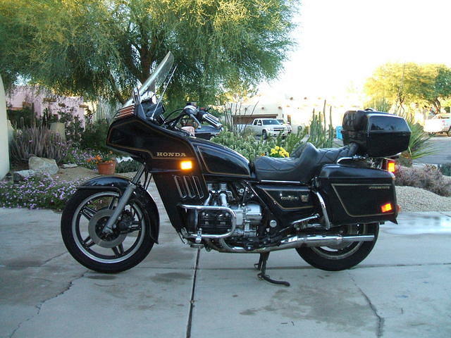GOLDWING 81 L