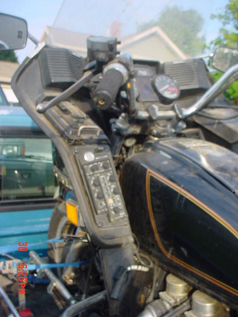 81 wing 094