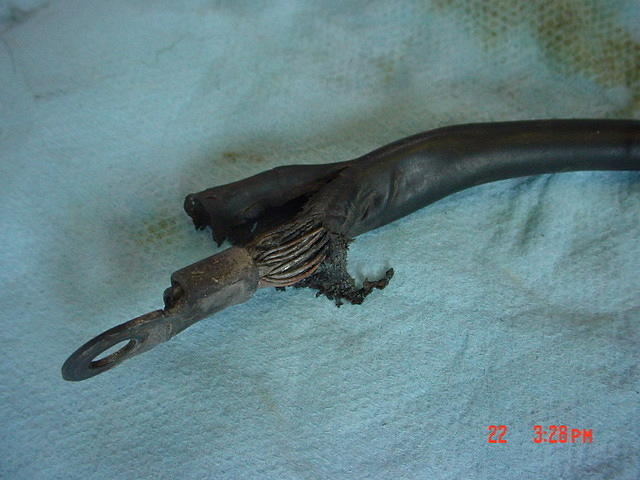 81 wing 131