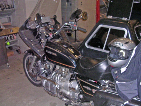 wing8