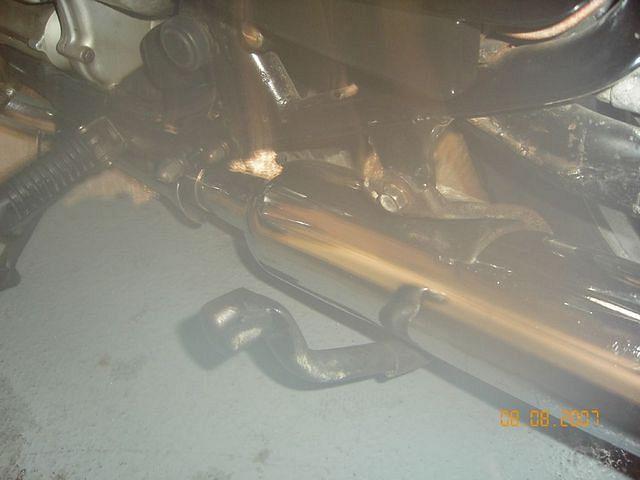 KIF_0772.JPG