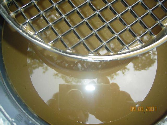 KIF_1265.jpg