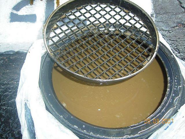 KIF_1266.jpg