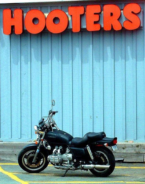 It's a Hoot!