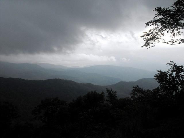 Picture 036