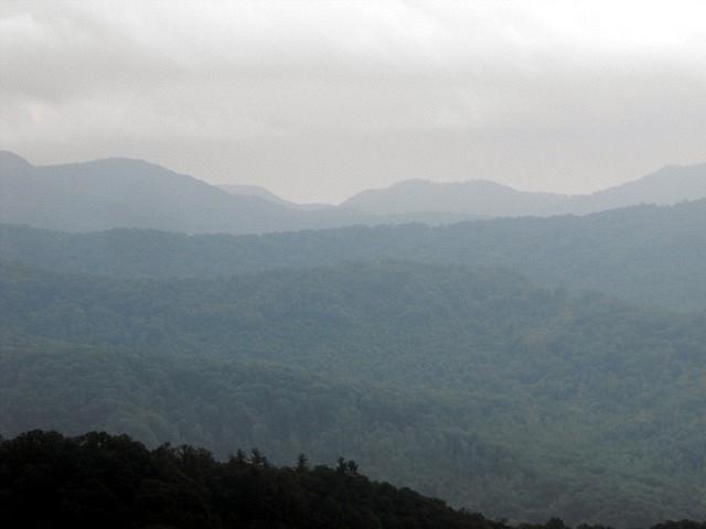 Picture 038