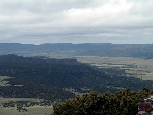 Grasslands meet mountains