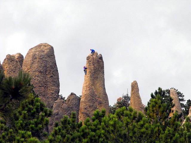 Needles 3