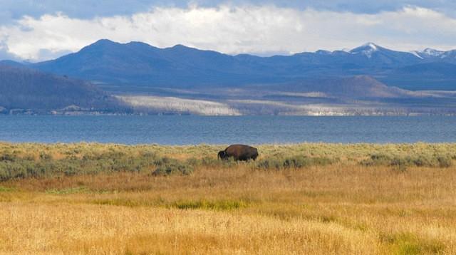 Yellowstone Lake 2