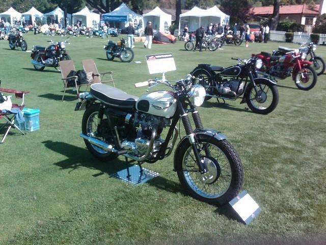 IMG00048-20100508-0952 (48)