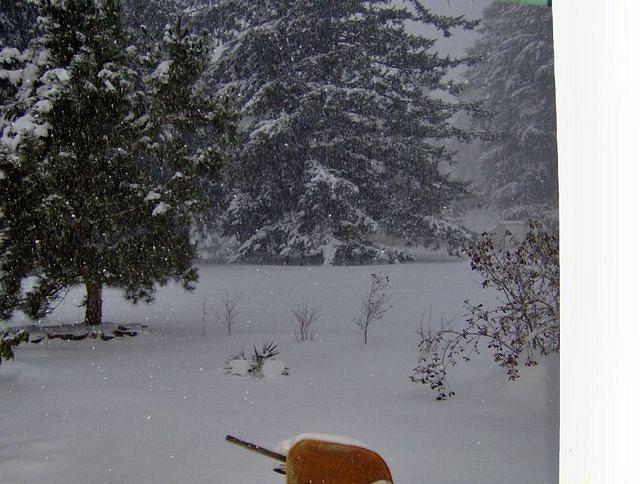 snow