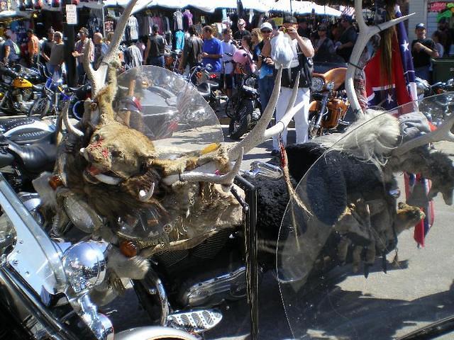 sturgis2011 030