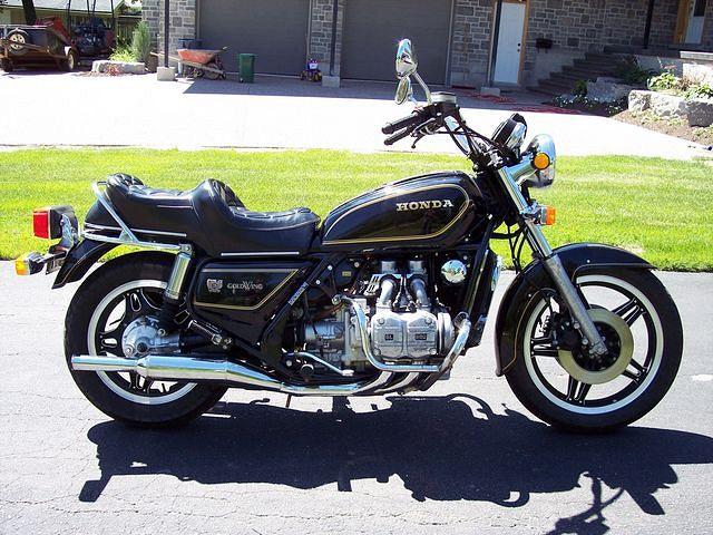 100_9875resize.jpg