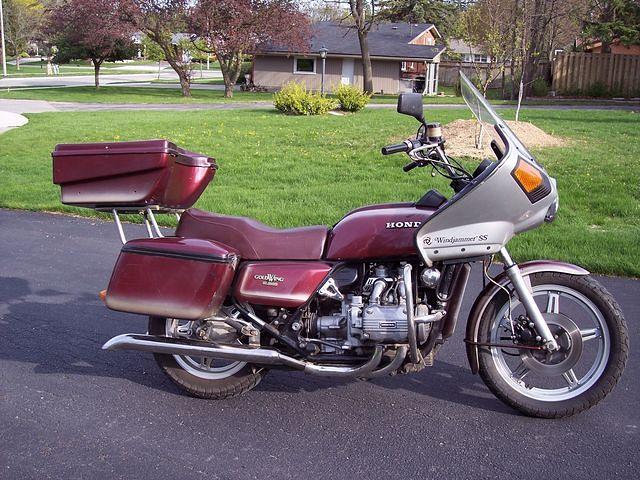 100_8232resize.jpg