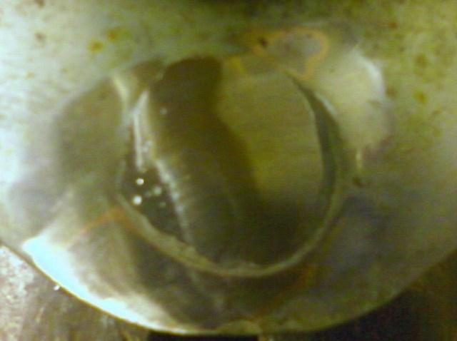 steering stem9