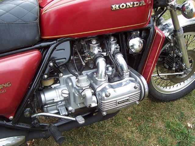 Bear's Bike Naked