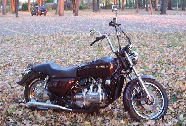 Old School 19