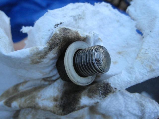 OIlDrainPlugwithgasket.jpg