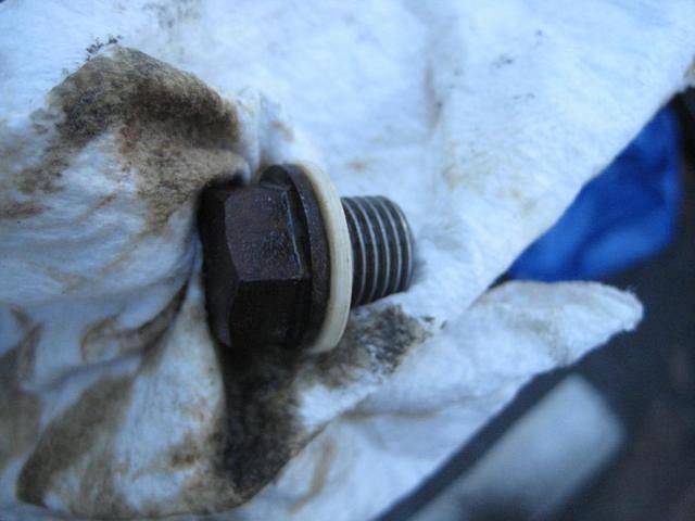 OIlDrainPlugwithgasket2.jpg