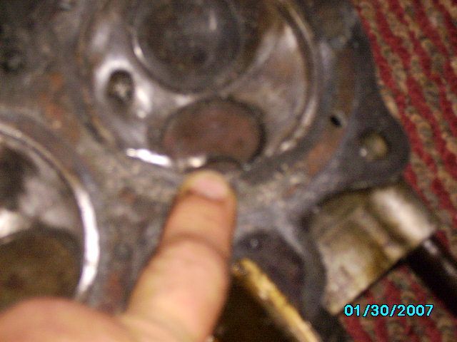 SANY0601