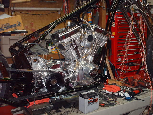 HPIM5854