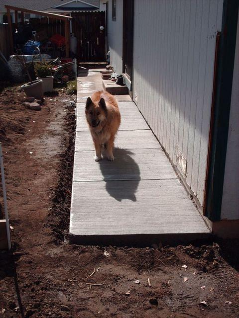 Finnished Sidewalk