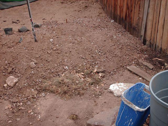 All Removed From Front Driveway