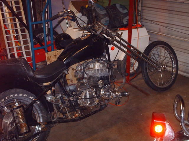 HPIM6165