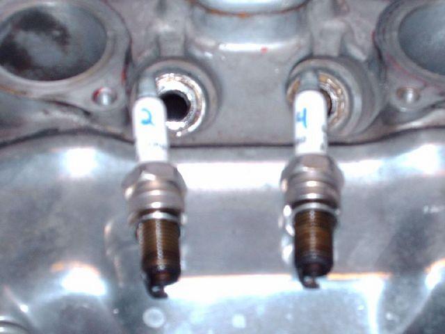 And The Plugs
